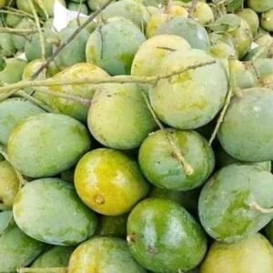 হিমসাগর